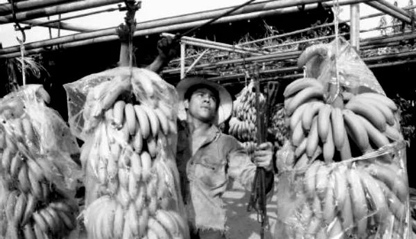 Honduras vs. El Salvador: The Football Match that Ignited War 7 Honduras El Salvador The Football War 2