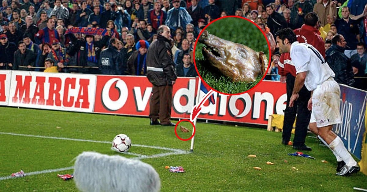 The Night Barcelona Threw a Pig’s Head at Luis Figo 7 Luis Figo Pig Real Barcelona